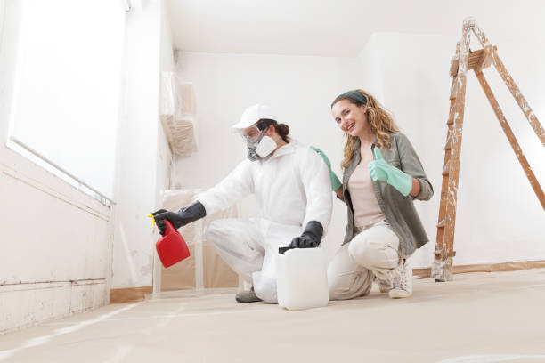 Best Mold Prevention Services  in Farmersville, OH