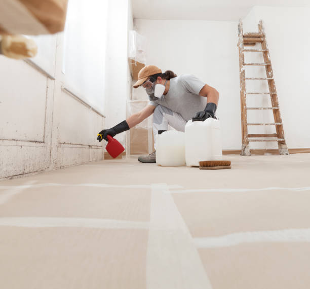 Best Mold Odor Removal Services  in Farmersville, OH